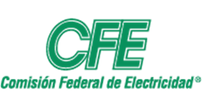 Comisión Federal de Electricidad (CFE)